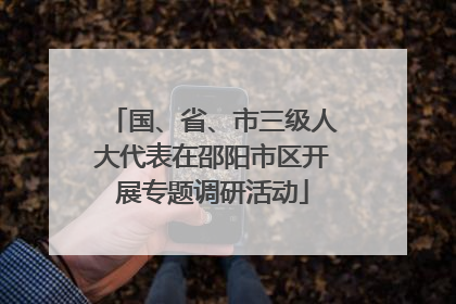 国、省、市三级人大代表在邵阳市区开展专题调研活动
