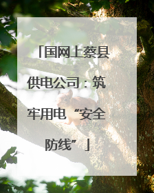 国网上蔡县供电公司：筑牢用电“安全防线”