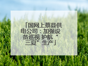 国网上蔡县供电公司：加强设备巡视 护航“三夏”生产