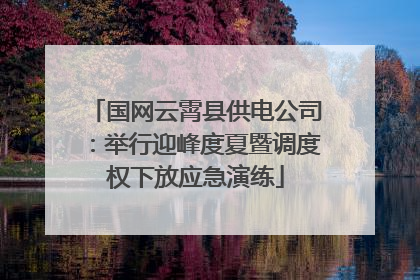 国网云霄县供电公司：举行迎峰度夏暨调度权下放应急演练