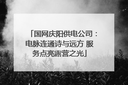 国网庆阳供电公司：电脉连通诗与远方 服务点亮露营之光