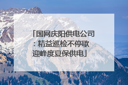 国网庆阳供电公司：精益巡检不停歇 迎峰度夏保供电