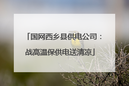 国网西乡县供电公司：战高温保供电送清凉