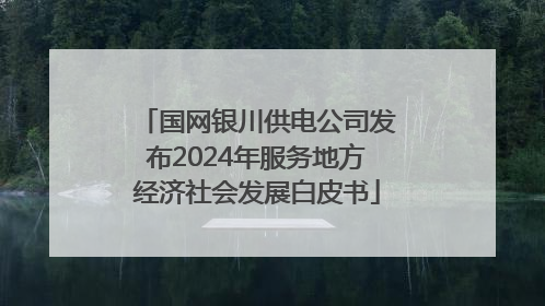 国网银川供电公司发布2024年服务地方经济社会发展白皮书