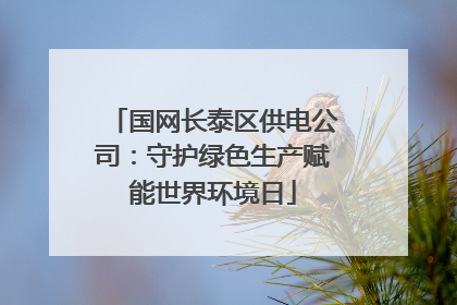 国网长泰区供电公司：守护绿色生产赋能世界环境日