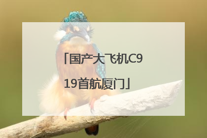 国产大飞机C919首航厦门