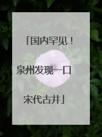 国内罕见！泉州发现一口宋代古井