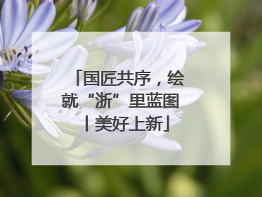 国匠共序，绘就“浙”里蓝图丨美好上新