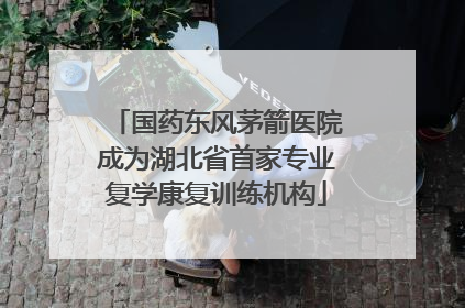 国药东风茅箭医院成为湖北省首家专业复学康复训练机构