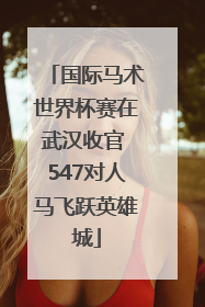 国际马术世界杯赛在武汉收官 547对人马飞跃英雄城