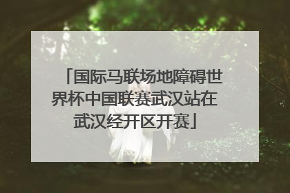 国际马联场地障碍世界杯中国联赛武汉站在武汉经开区开赛