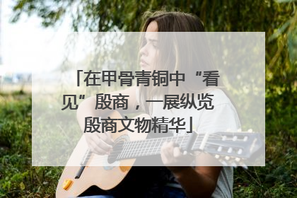 在甲骨青铜中“看见”殷商，一展纵览殷商文物精华