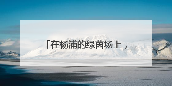 在杨浦的绿茵场上，踢出更多足球小将