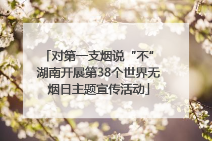 对第一支烟说“不” 湖南开展第38个世界无烟日主题宣传活动