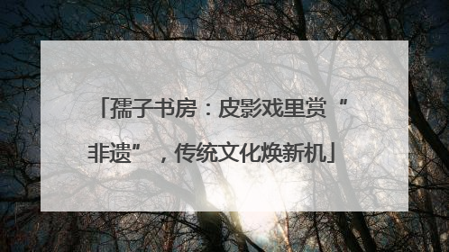 孺子书房：皮影戏里赏“非遗”，传统文化焕新机