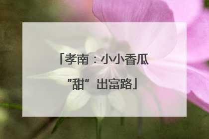 孝南：小小香瓜 “甜”出富路
