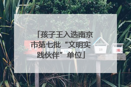 孩子王入选南京市第七批“文明实践伙伴”单位