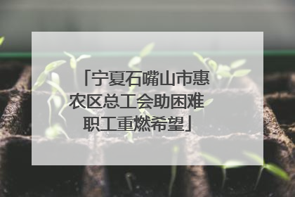 宁夏石嘴山市惠农区总工会助困难职工重燃希望