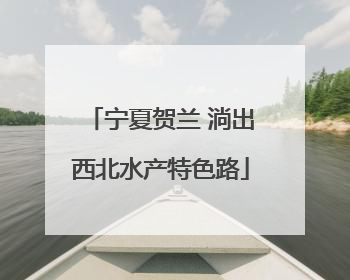 宁夏贺兰 淌出西北水产特色路