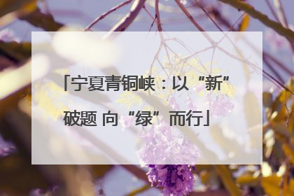 宁夏青铜峡：以“新”破题 向“绿”而行