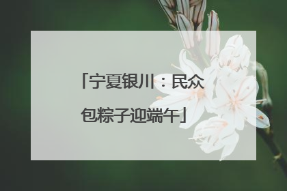 宁夏银川：民众包粽子迎端午