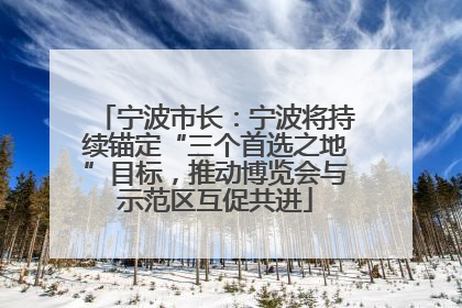 宁波市长：宁波将持续锚定“三个首选之地”目标，推动博览会与示范区互促共进