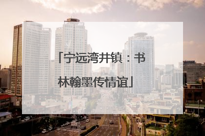 宁远湾井镇：书林翰墨传情谊