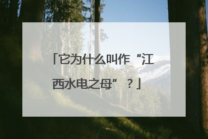 它为什么叫作“江西水电之母”？