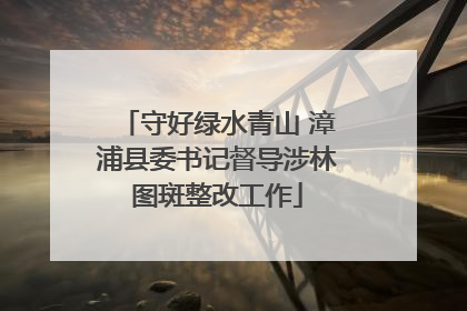 守好绿水青山 漳浦县委书记督导涉林图斑整改工作