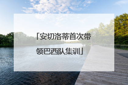 安切洛蒂首次带领巴西队集训