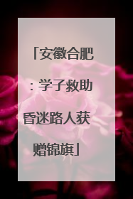 安徽合肥：学子救助昏迷路人获赠锦旗