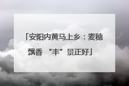 安阳内黄马上乡：麦穗飘香 “丰”景正好