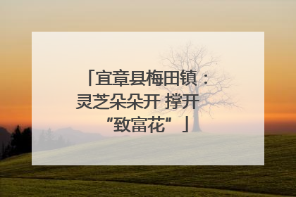 宜章县梅田镇：灵芝朵朵开 撑开“致富花”