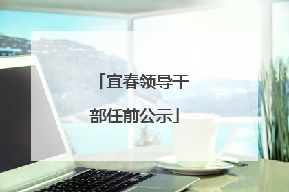 宜春领导干部任前公示