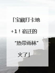宝藏打卡地+1！宿迁的“热带雨林”火了