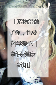 宠物治愈了你，也要科学爱它｜新民·健康新知