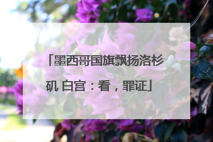 墨西哥国旗飘扬洛杉矶 白宫：看，罪证