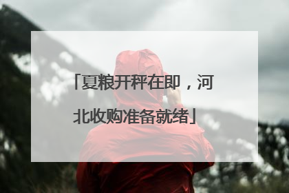 夏粮开秤在即，河北收购准备就绪