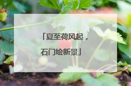 夏至荷风起，石门绘新景