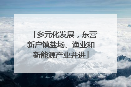 多元化发展，东营新户镇盐场、渔业和新能源产业并进