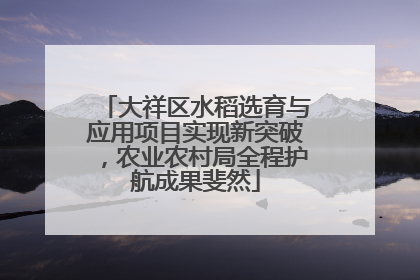 大祥区水稻选育与应用项目实现新突破，农业农村局全程护航成果斐然