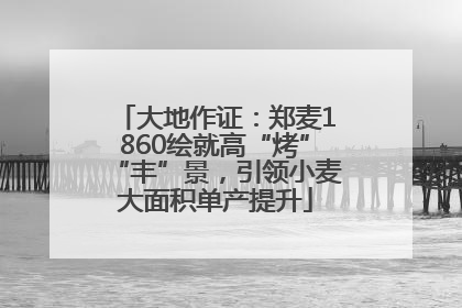 大地作证：郑麦1860绘就高“烤”“丰”景，引领小麦大面积单产提升