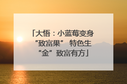 大悟：小蓝莓变身“致富果” 特色生“金”致富有方