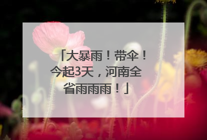 大暴雨！带伞！今起3天，河南全省雨雨雨！