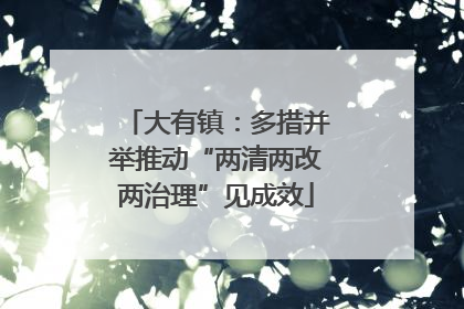 大有镇：多措并举推动“两清两改两治理”见成效
