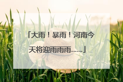 大雨！暴雨！河南今天将迎雨雨雨……