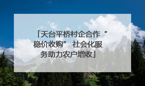 天台平桥村企合作“稳价收购” 社会化服务助力农户增收