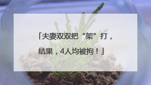 夫妻双双把“架”打，结果，4人均被拘！