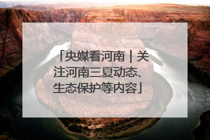 央媒看河南｜关注河南三夏动态、生态保护等内容