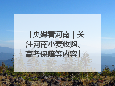 央媒看河南｜关注河南小麦收购、高考保障等内容